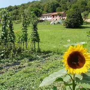I Boschi Del Castagno , Triches Italia